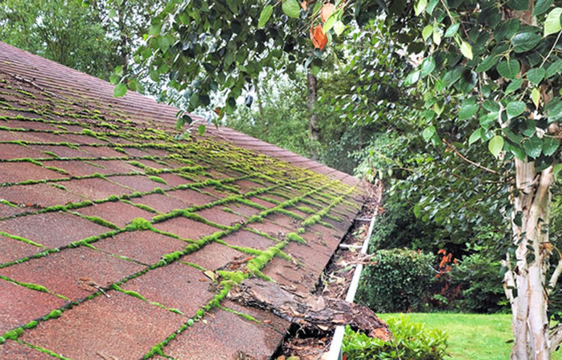 Roof Cleaning Long Island NY Blogs 12