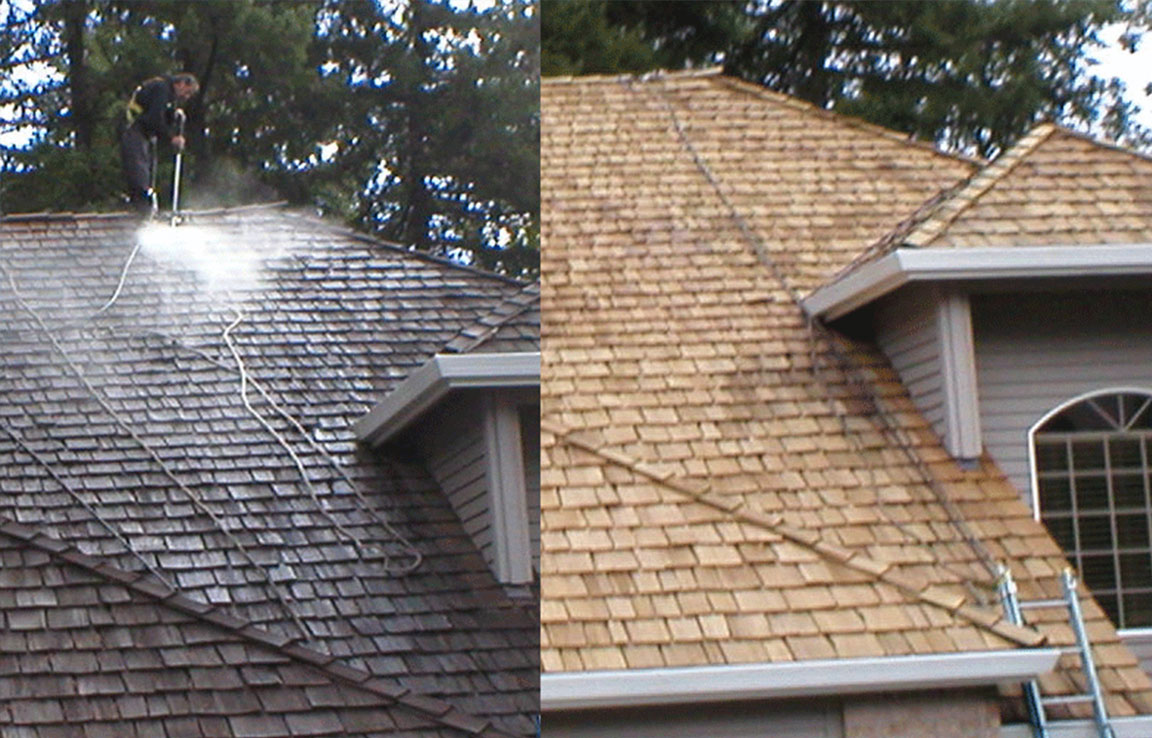 Roof Cleaning Long Island NY Blogs 4