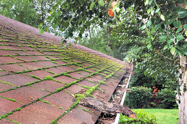 Shingle Roof Cleaning Long Island NY 1
